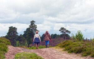 walkers, walking, walk, people, person, woman, women, two, track, trail, countryside, rural, stormy, sky, skies, clouds, cloudy, gorse, sandy, trees, exercise, people walking, female, outdoors, active, hiking, nature, caucasian, landscape, outside, hdr, high dynamic range, image, walkers, walkers, walkers, walkers, walkers, women, exercise, people walking, people walking, people walking