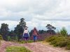 walkers, walking, walk, people, person, woman, women, two, track, trail, countryside, rural, stormy, sky, skies, clouds, cloudy, gorse, sandy, trees, exercise, people walking, female, outdoors, active, hiking, nature, caucasian, landscape, outside, hdr, high dynamic range, image, walkers, walkers, walkers, walkers, walkers, women, exercise, people walking, people walking, people walking